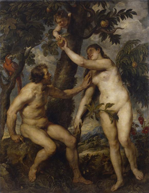 Peter Paul Rubens Adam and Eve (df01) Germany oil painting art